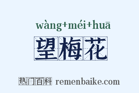 望梅花是什么意思的图片